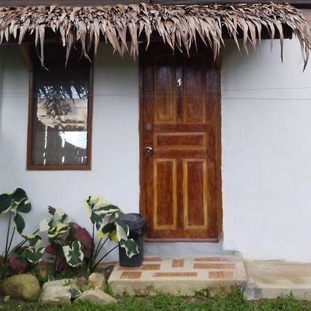 Ziah'S Guest House سان فيسنتي المظهر الخارجي الصورة