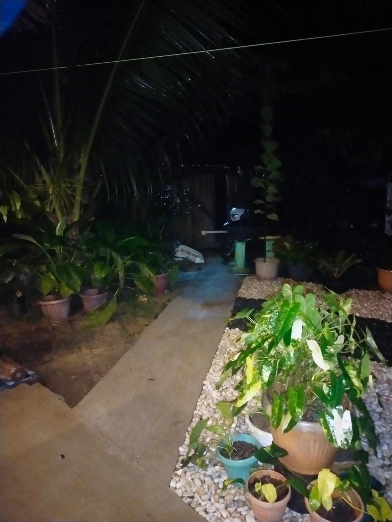 Ziah'S Guest House سان فيسنتي المظهر الخارجي الصورة
