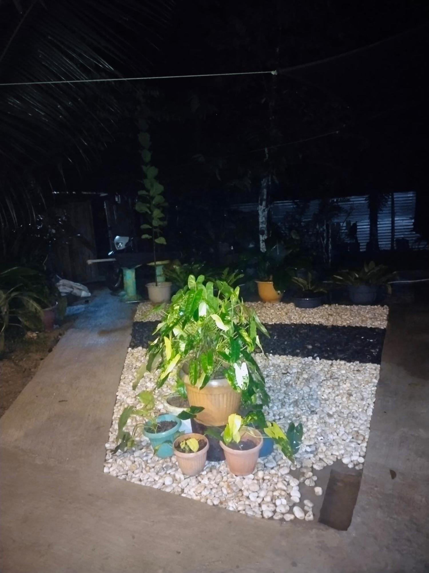 Ziah'S Guest House سان فيسنتي المظهر الخارجي الصورة